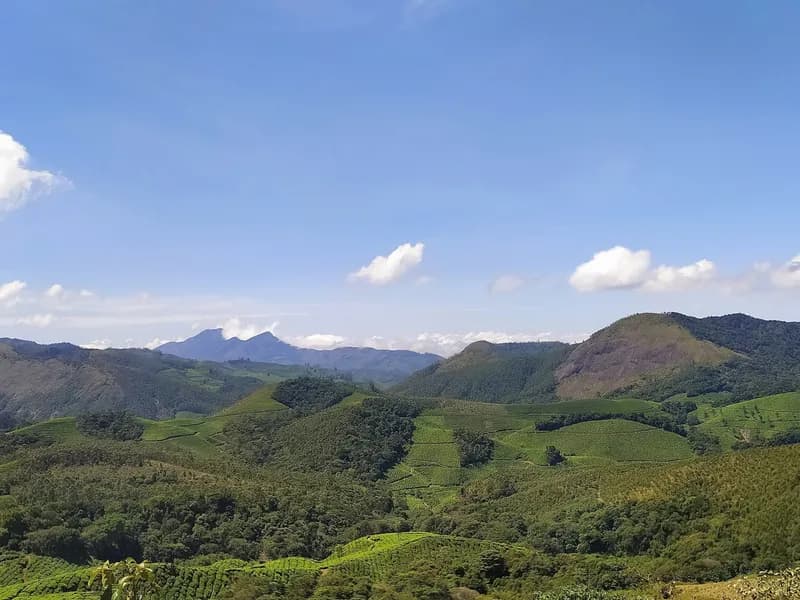 Anamudi Peak Viewpoint