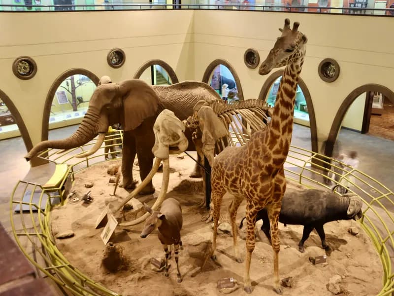 Nairobi National Museum