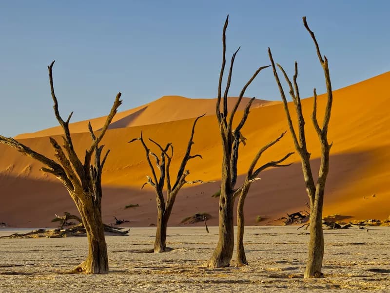 Sossusvlei & Dead Vlei