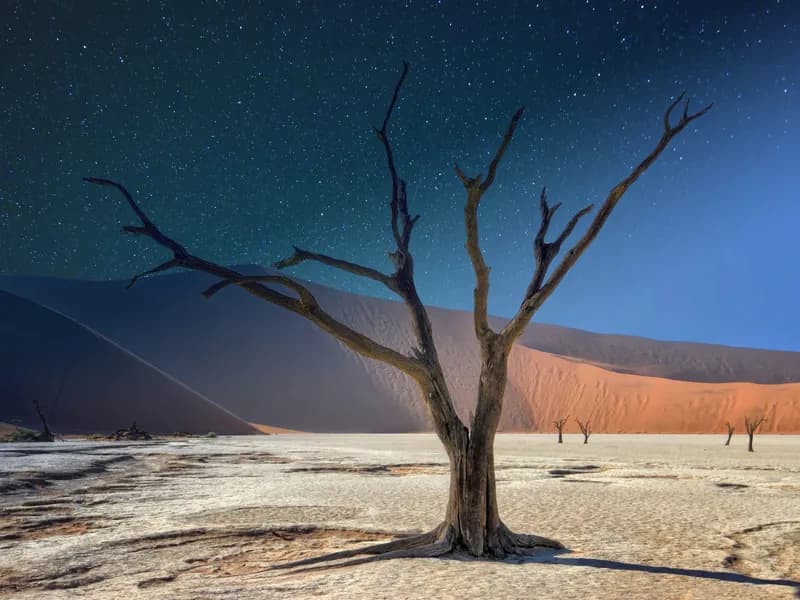 NamibRand Nature Reserve Stargazing