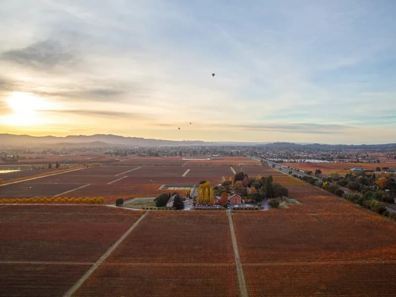 Hot Air Balloon Over Napa