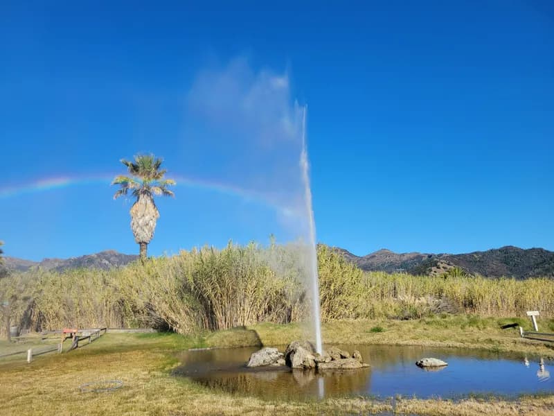 Old Faithful Geyser of California