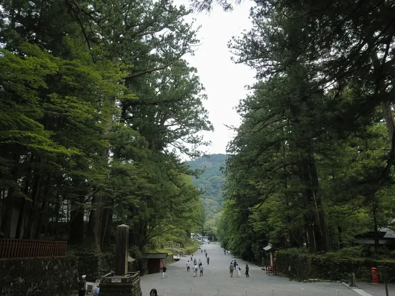 Cedar Avenue of Nikko (Sugi Namiki)