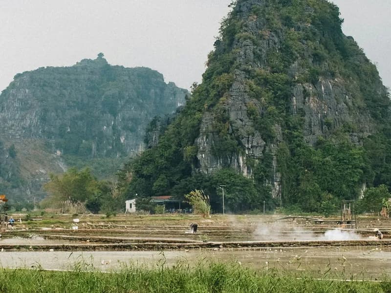 Cycling Through Rice Paddies