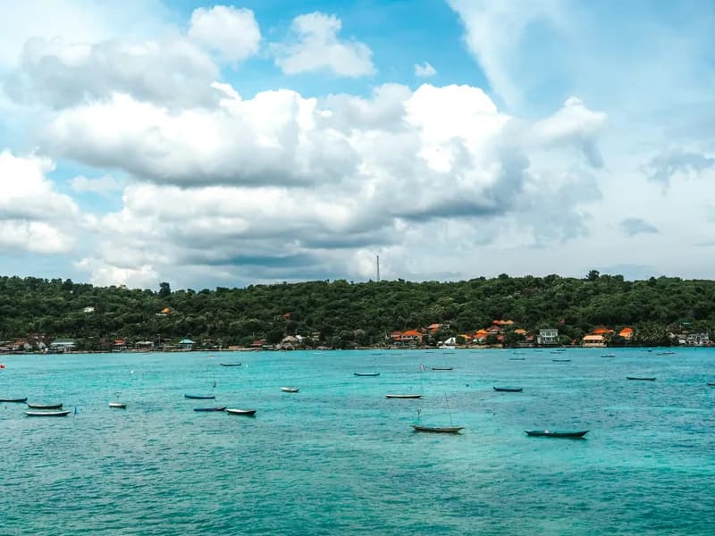 Seaweed Farms