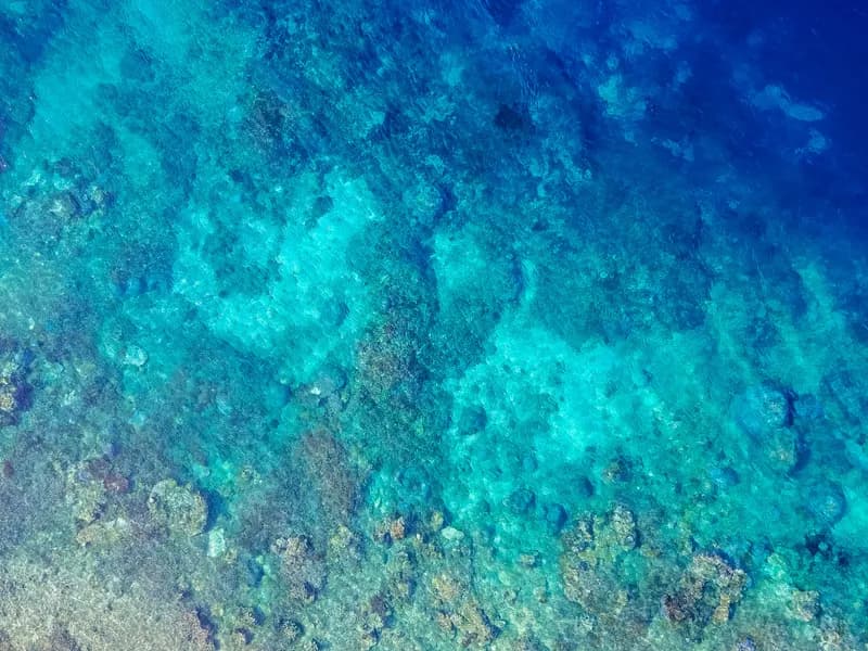Snorkeling at Crystal Bay & Mangrove Point