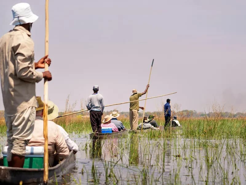 Mokoro Canoe Safari