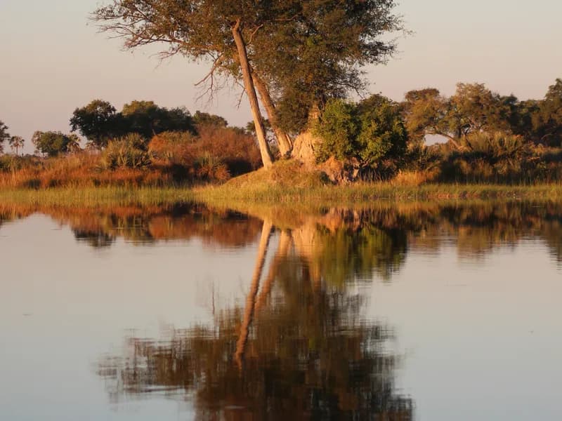 Bush Camping on Delta Islands