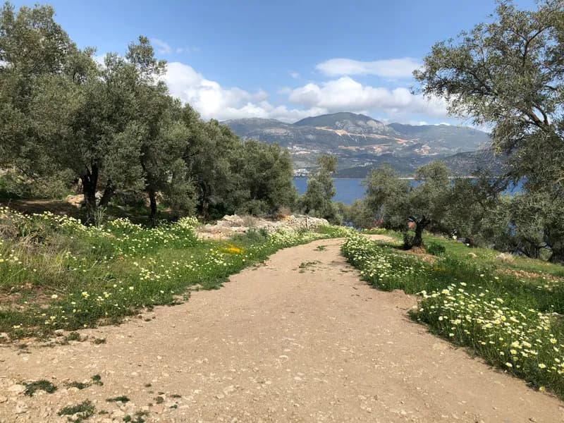 The Lycian Way