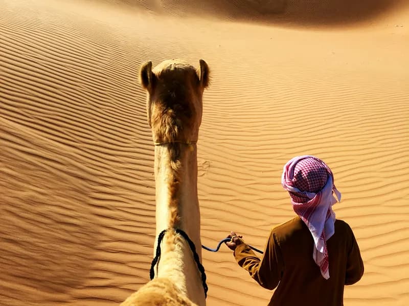 Camel Trekking at Sunrise