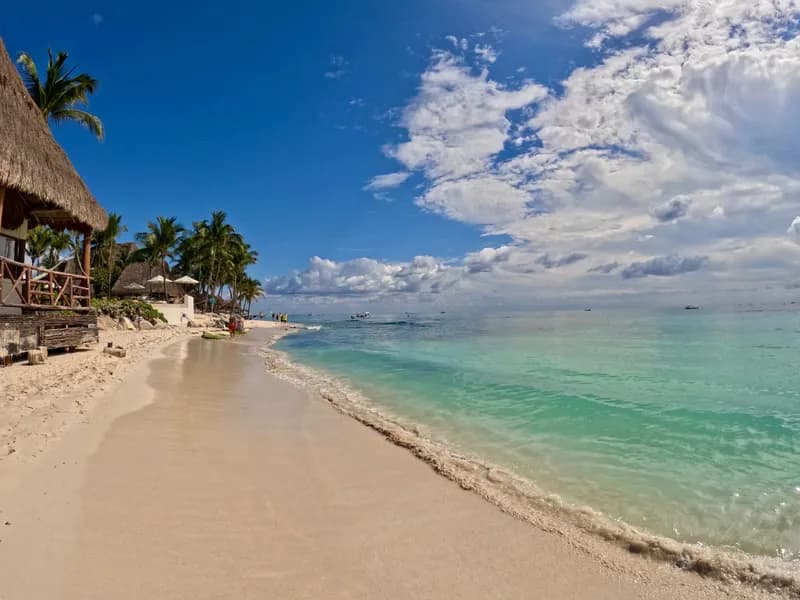 Playa del Carmen Beach Clubs