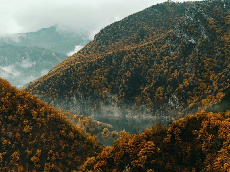 Rhodope Mountains Day Trip
