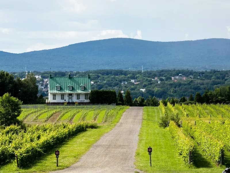 Ile d'Orleans