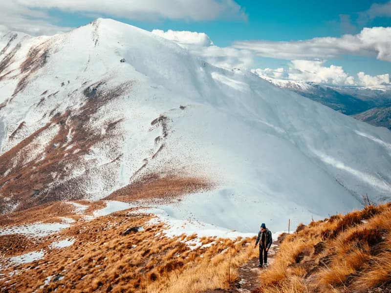 Ben Lomond Track