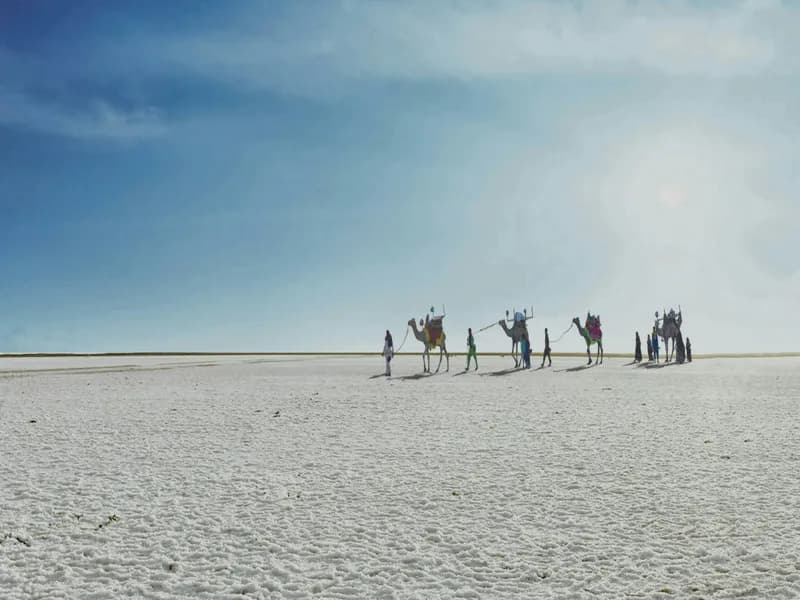 Rann Utsav Festival