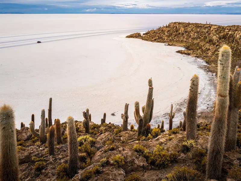 Incahuasi Island (Isla del Pescado)