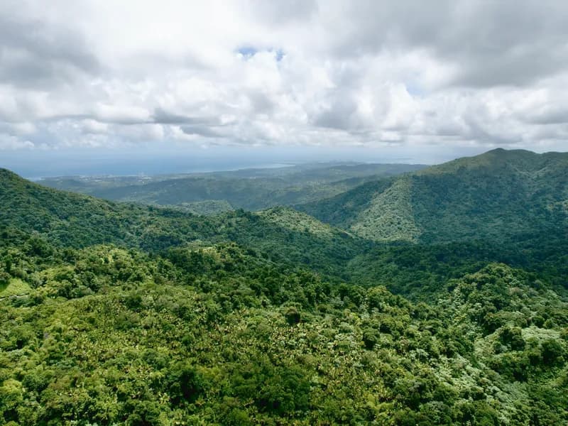 El Yunque National Forest