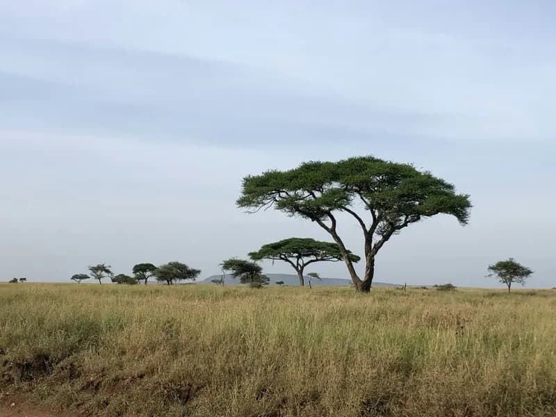 Olduvai Gorge