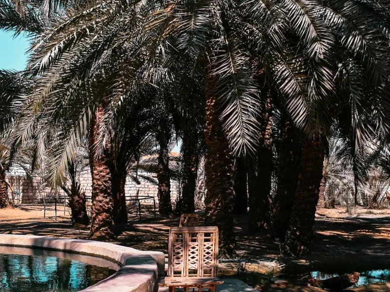 Cleopatra's Spring (Ain Juba)