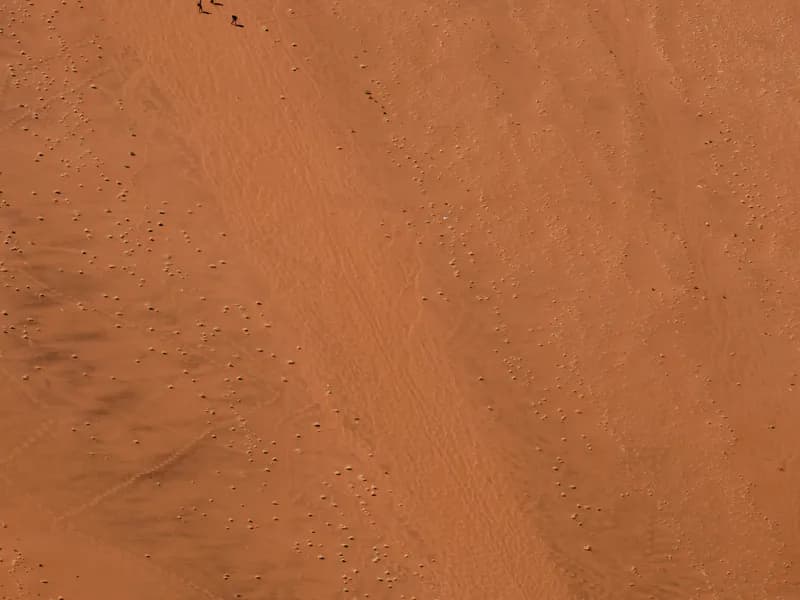 Big Daddy Dune