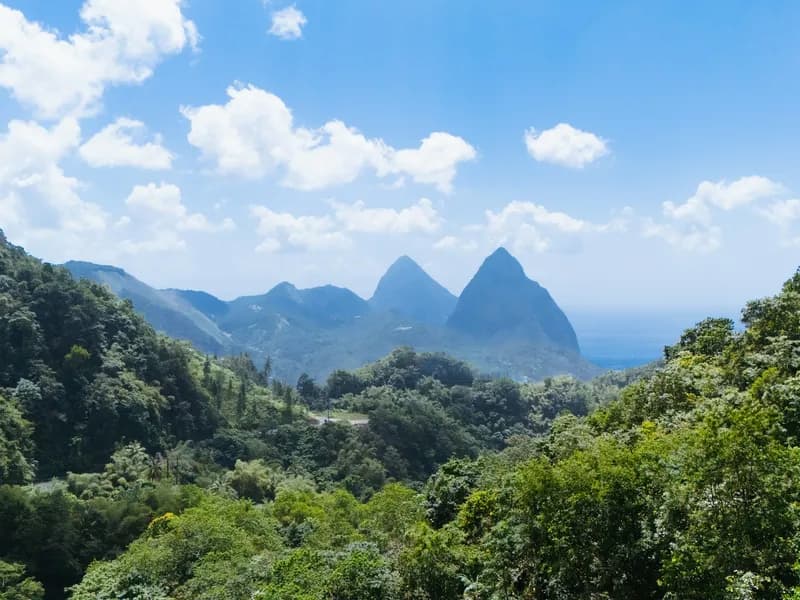 Aerial Tram & Zip-Line (Rainforest Adventures)
