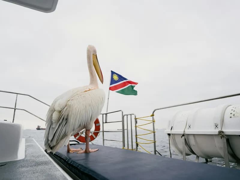 Walvis Bay Oyster Tour