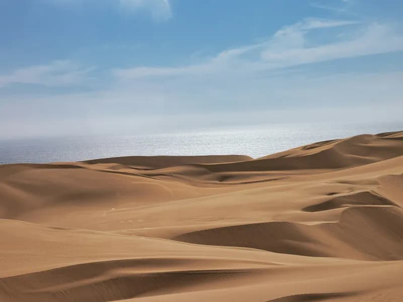 Living Desert Tour