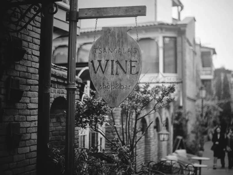 Wine Tasting — 8,000 Years of Tradition