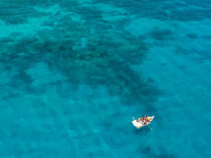 Manta Reef Dive