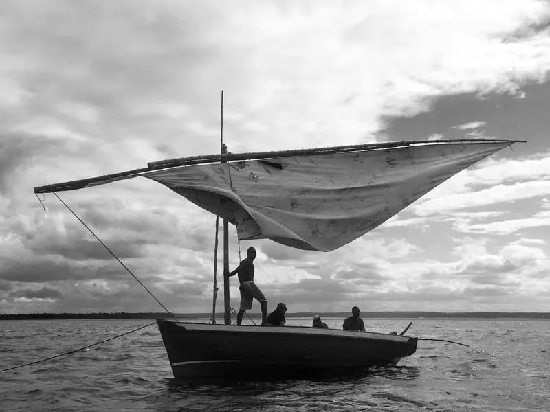 Dhow Sailing to Pansy Island