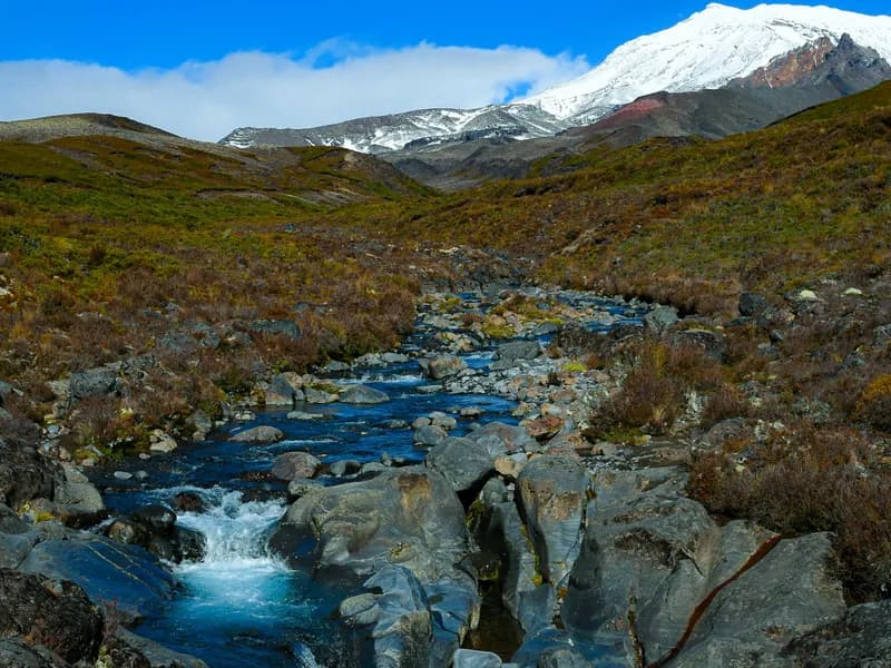 Silica Rapids Track