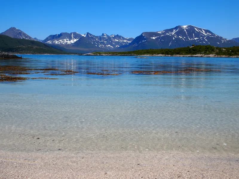 Midnight Sun at Sommarøy Beach