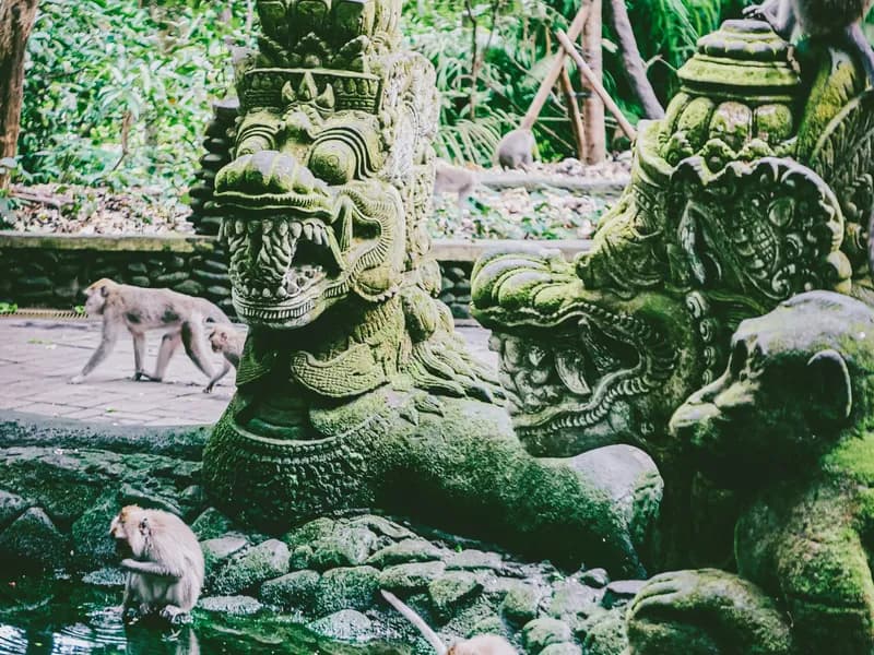 Sacred Monkey Forest Sanctuary