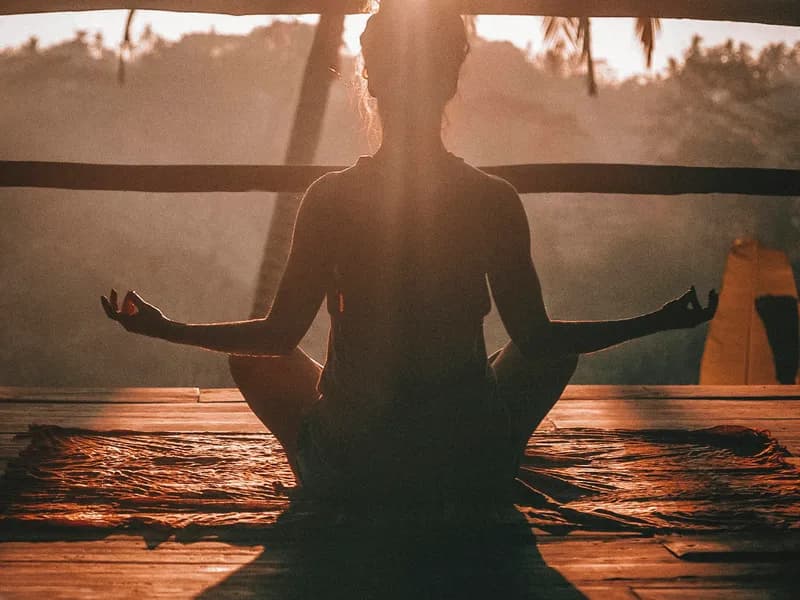 Yoga and Wellness Retreats