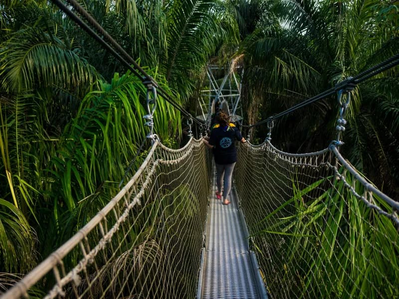 Lekki Conservation Centre