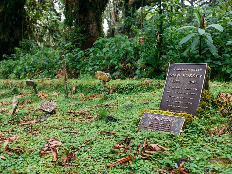 Dian Fossey Tomb & Research Site
