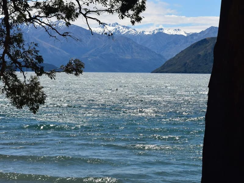 Lake Wanaka & Waterfront