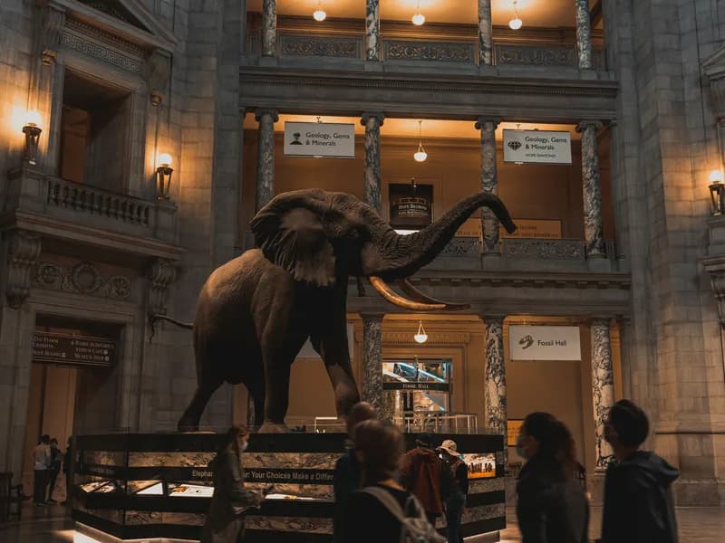 Smithsonian National Museum of Natural History