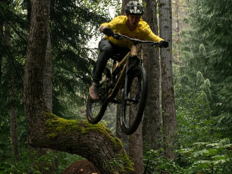 Whistler Mountain Bike Park