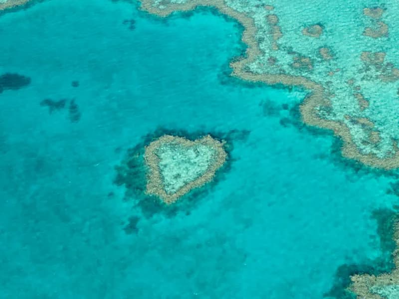 Heart Reef