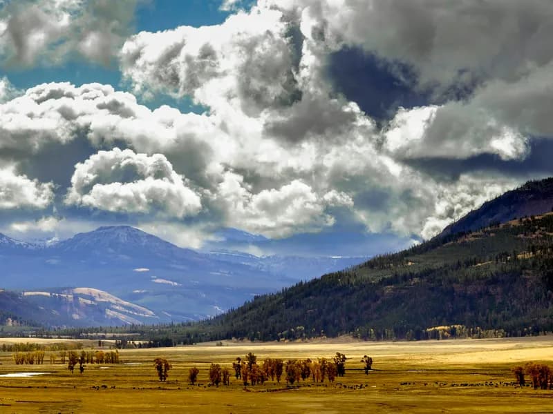 Lamar Valley — American Serengeti