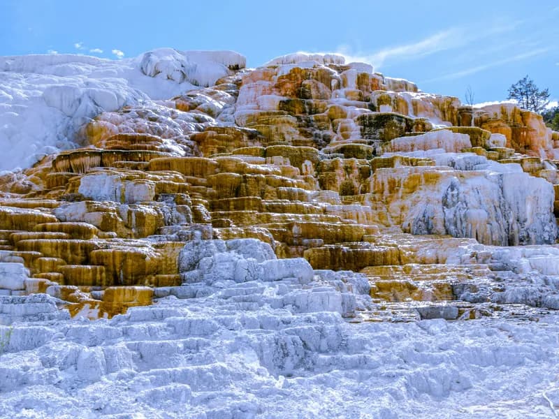 Mammoth Hot Springs